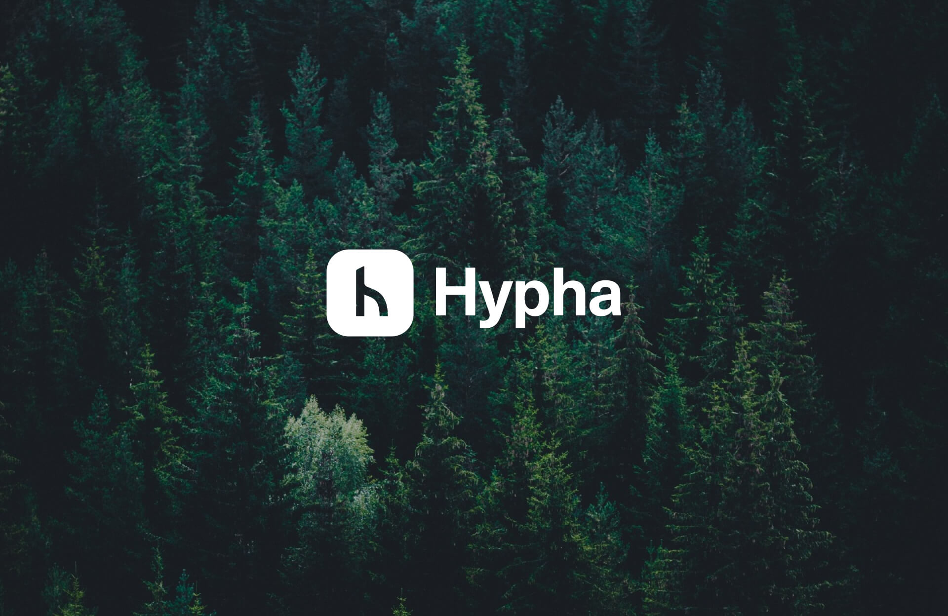 Hypha